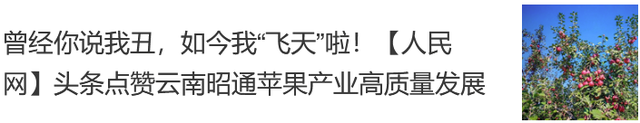 创意海报｜抓住暑假的尾巴，总要带娃来一趟昭通吧！