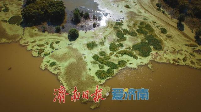 一年四季 泉在济南丨雨润玉符河 ，水位上涨绘就生态新景