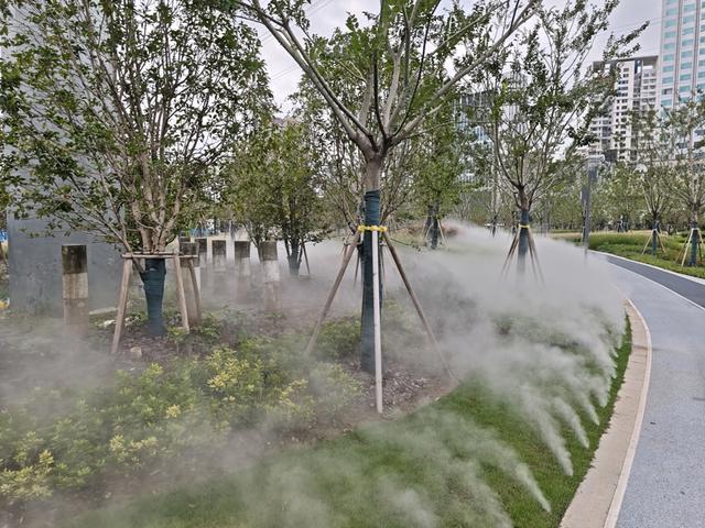 真如绿廊传来最新消息！重要节点海艺公园明天开园