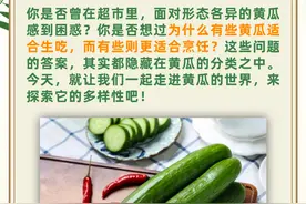 黄瓜品种大全：来看看你最常吃的是哪一种？图片