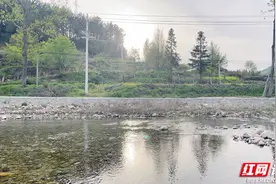 暑假到了，要把孩子送回乡下吗？网友来支招图片