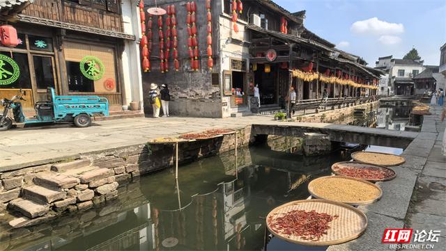 秋游时刻丨漫步黄山唐模村，在水街畔感受一场秋的慢调