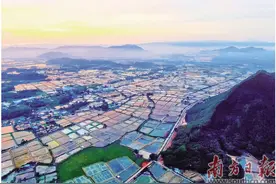 肇庆探索罗氏沼虾生态养殖新路图片