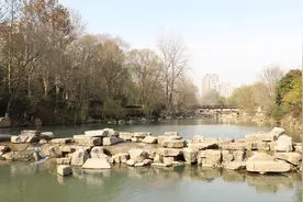 全区唯一！长江路街道岔河获评“2024年省级美丽幸福河湖”图片