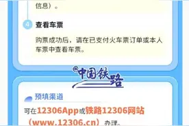 12306试点自动提交购票订单功能图片