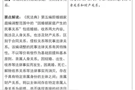 民法典婚姻家庭一表通【一般规定】图片