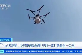 脐橙、冬笋乘上致富快车！专家解读“快递进村”图片