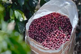 云南保山：被低估的边陲小城 论“咖位”当数第一图片