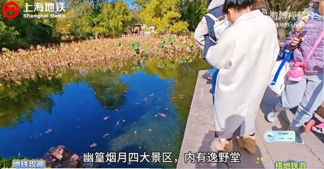 搭地铁游古猗园、南翔老街