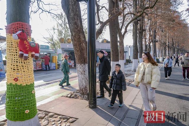 绘彩画、穿毛衣，东湖绿道大树披“彩妆”喜迎新年