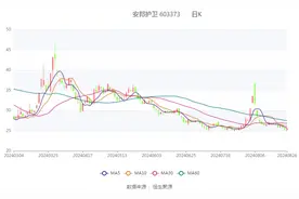 安邦护卫：2024年上半年净利润5286.19万元 同比增长9.82%图片