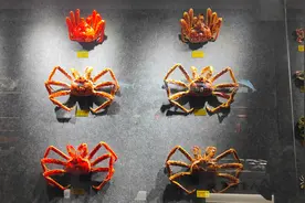 年进口150万只，小城珲春如何成为“帝王蟹之都”？图片