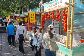 中秋假期，千佛山等9家公园景区纳客28.2万人 | “泉”在济南享金秋图片