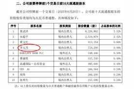 重仓2300万元，李元芳惊现上市公司十大股东名单图片