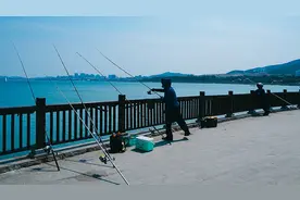 渔业法修订草案二审稿拟明确：个人娱乐性垂钓不属于捕捞作业图片