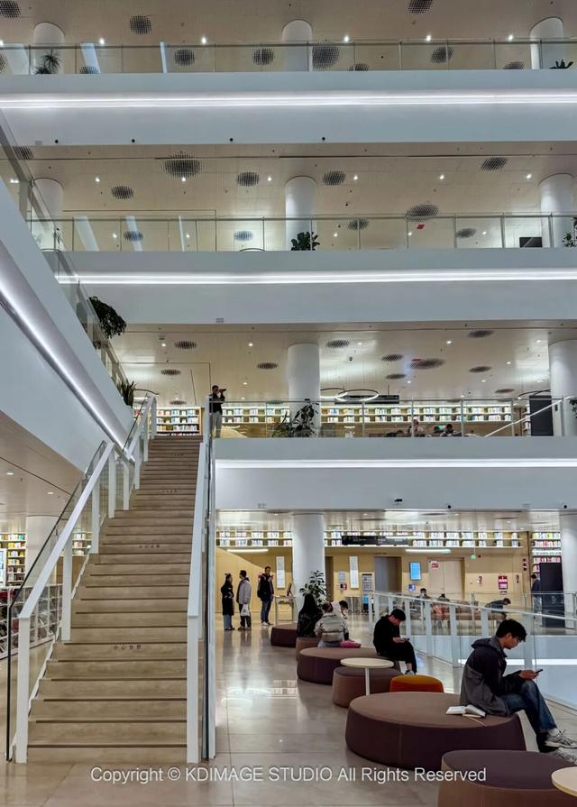 ​别再说深圳是文化沙漠！这份双馆暴走攻略，让你重新认识这座城市