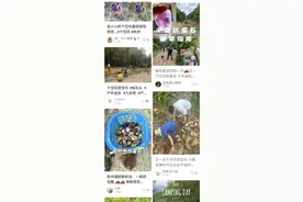 这个村子火了，每天几百人进山挖，到底是什么石头？图片