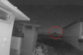 “我也有个女儿”“给你点了杯奶茶”……民警温言劝慰救下轻生女孩图片