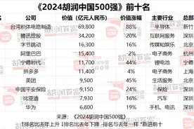 2024胡润中国500强榜单：台积电第一，腾讯第二，华为重返前十图片