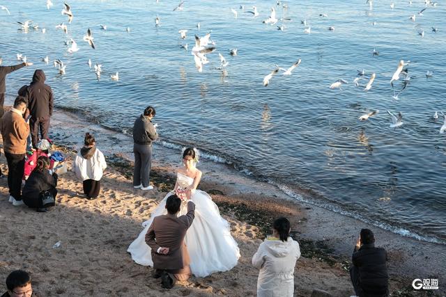 青岛冬日的海，是这座城市的浪漫注脚