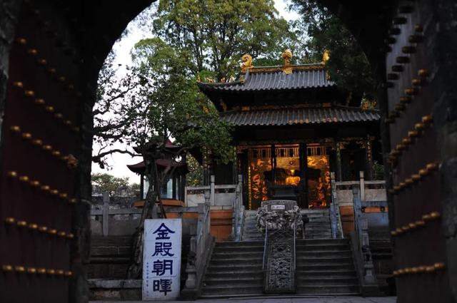 香迷糊了！昆明老品种秋天，从金殿桂香开始！