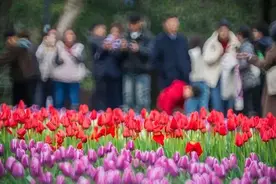 已达50%！明天可能猛增，杭州人出门注意...图片