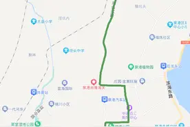 关于福厦高铁泉港站接驳公交的通告图片