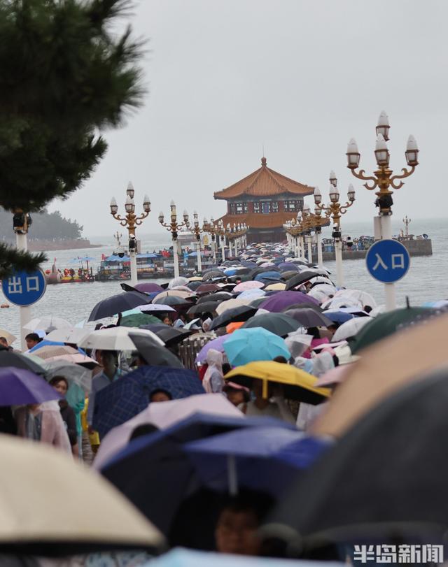 秋雨润栈桥，伞海映人潮