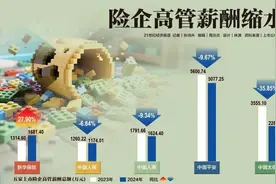 “六连降”，险企高管薪酬缩水图片