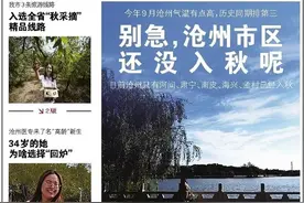 沧州这些地方已经入秋，市区还没图片