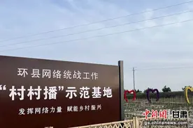 甘肃庆阳云建“同心大庆阳”“村村播”助农网销农货图片