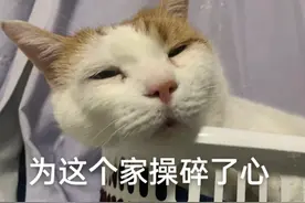 “不好意思，我一个字都不会说的”，疑似学校用尽了所有力气和手段…………图片