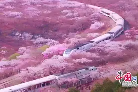 中老铁路圈粉老年游客 “银发族”跨境游大热图片