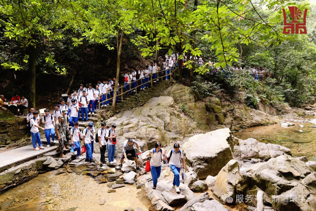隐藏玩法大公开！鼎湖山超火的研学游来了！等你探秘↘