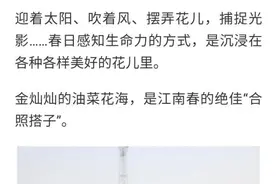 智农专题丨浙里油菜花上新，你的春日“合照搭子”不止好看还好吃？图片