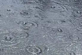 湖南的天气“过山车”啥时到站？专家：预计今春气温较往年偏高，但雨量偏多图片