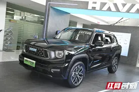 可城、可野、可电 实拍哈弗二代大狗PHEV图片