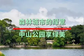 纵享汕头“多巴胺”图片