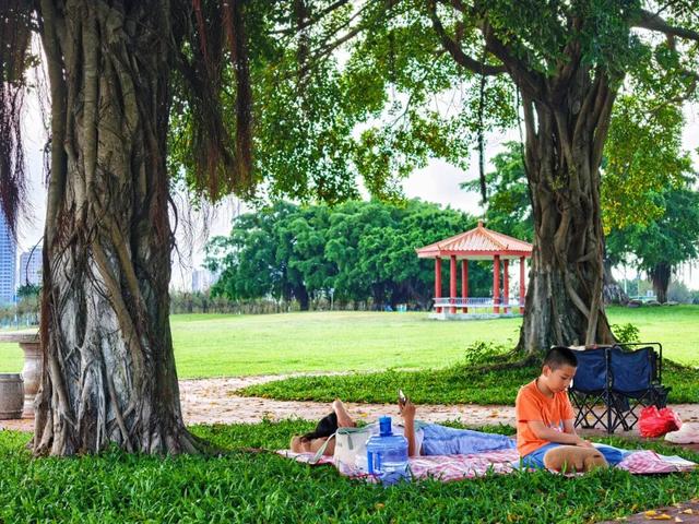 藏在防城港的“城市绿肺”！这个湿地公园，已成市民周末休闲顶流