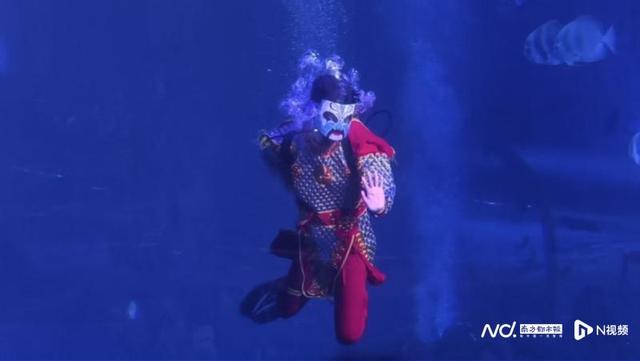 正佳极地海洋世界动物花式过中秋，海象、水豚吃上了月饼大餐