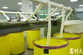 村村有好戏|毛纺+电商，羊毛小镇上新了图片