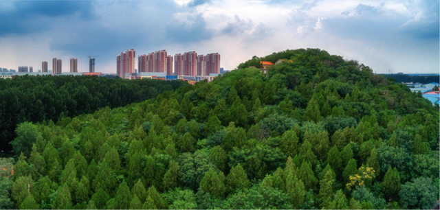 济南“齐烟九点”4月赏花一日游攻略 “一城山色·登山打卡”邀您“上春山”啦！