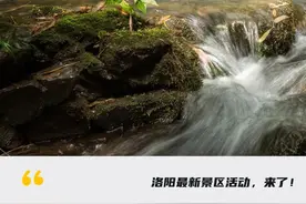 定了！洛阳这些景区，免门票及索道/两年内无限次入园！图片