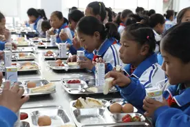 托卡马克之冠：挪用学生营养餐补还债，揭示出多地政府当下面临的一个困境图片