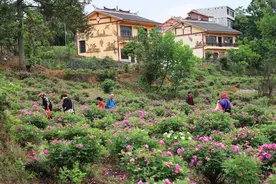 毕节市金海湖片区：锚定高质量发展  奏响奋进新乐章图片