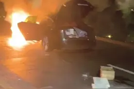 特斯拉与路面凸出砖块刮碰后起火，车主索赔337万！一审判了图片