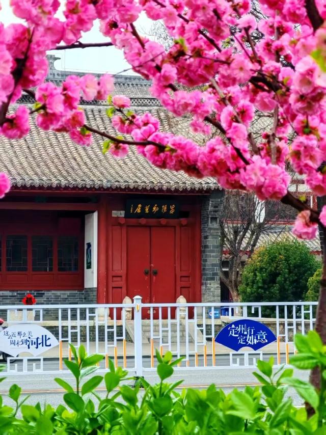 春色满城！定州藏不住的温柔与浪漫