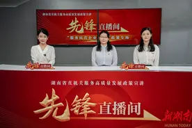 民营企业专业技术人才申报职称指南来了→图片
