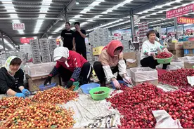 融媒第1眼|烟台这里潜伏一个全国最大镇级大樱桃市场图片