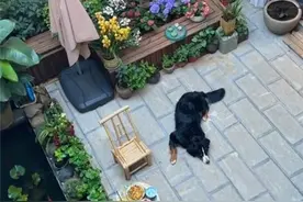 云南移动“别墅级WiFi”使用体验调查：FTTR用户满意度大揭秘图片